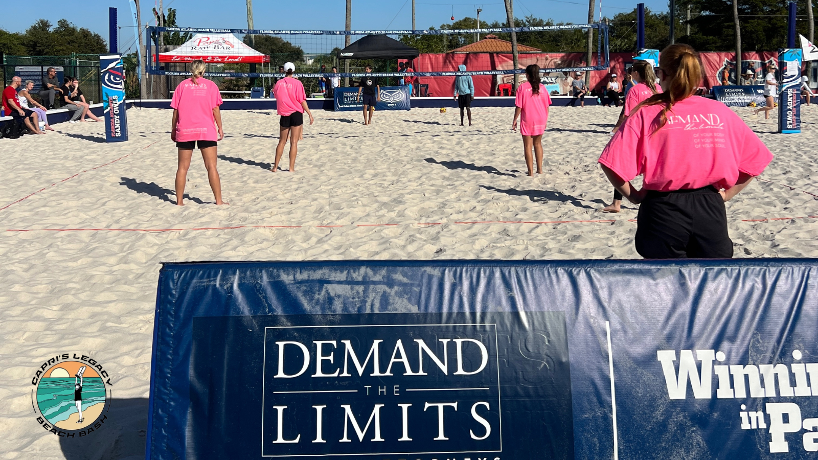 beach volleyball court with dtl logo